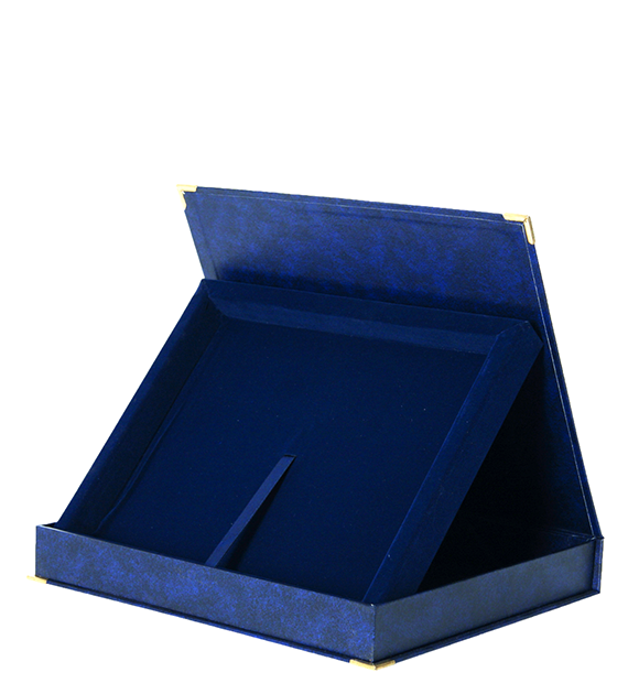Horizontal case, blue - for board 250x200