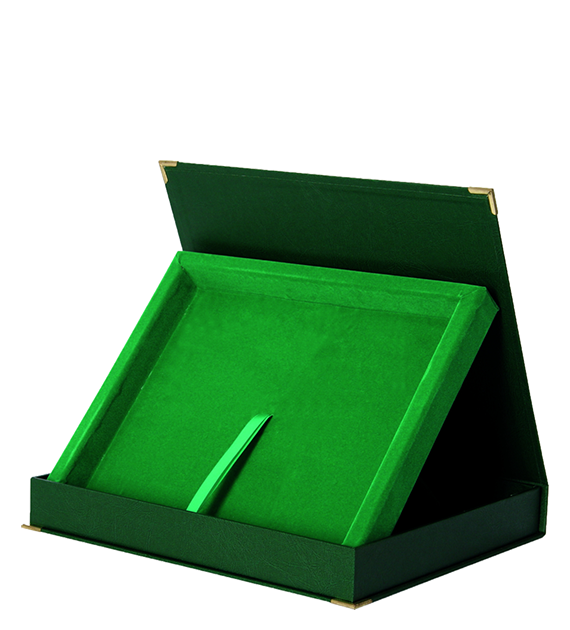 Horizontal case, green - for board 250x200