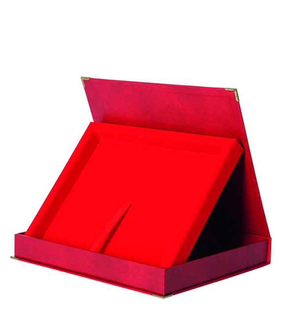 Horizontal case, red - for board 250x200