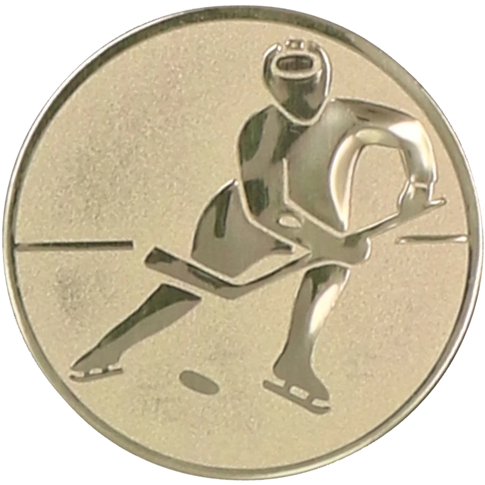 Aluminum insert - hockey player