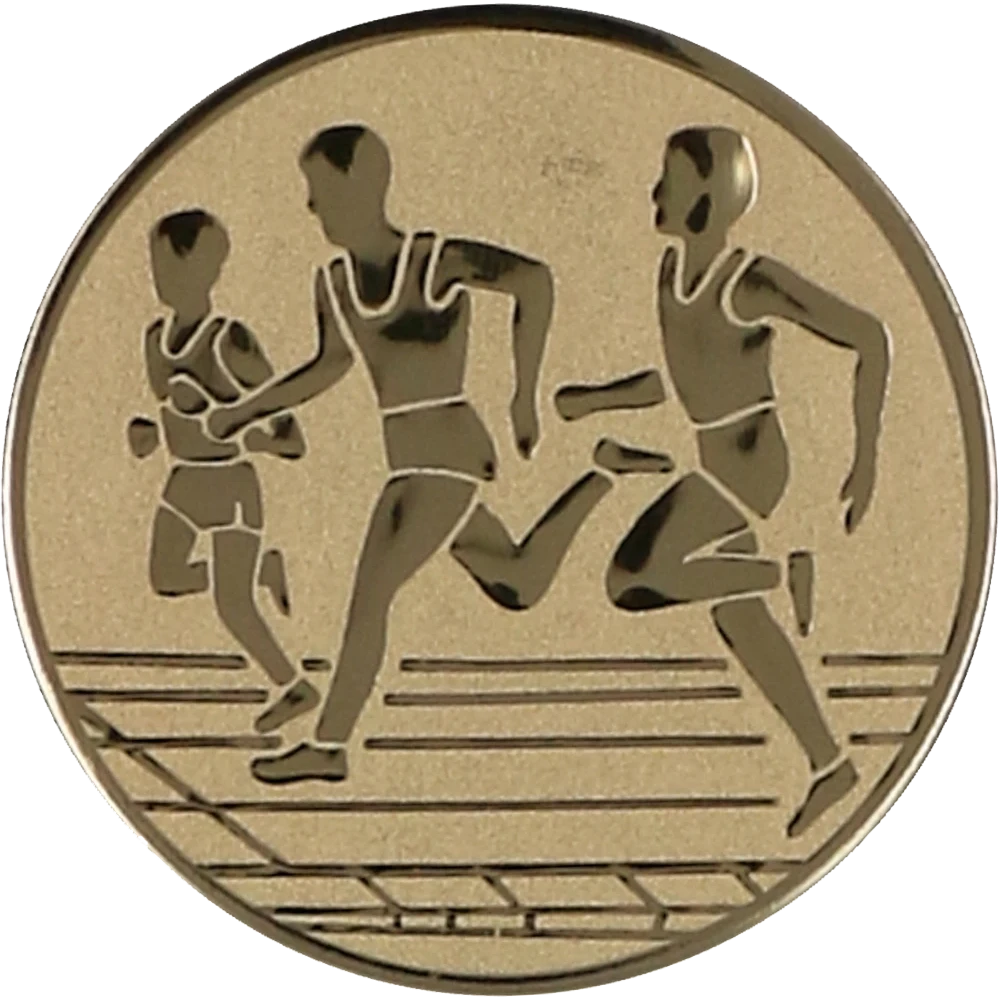 Gold aluminum insert - running