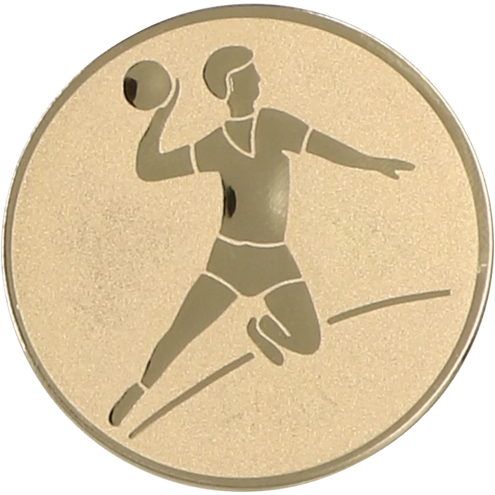 Aluminum insert - men's handball