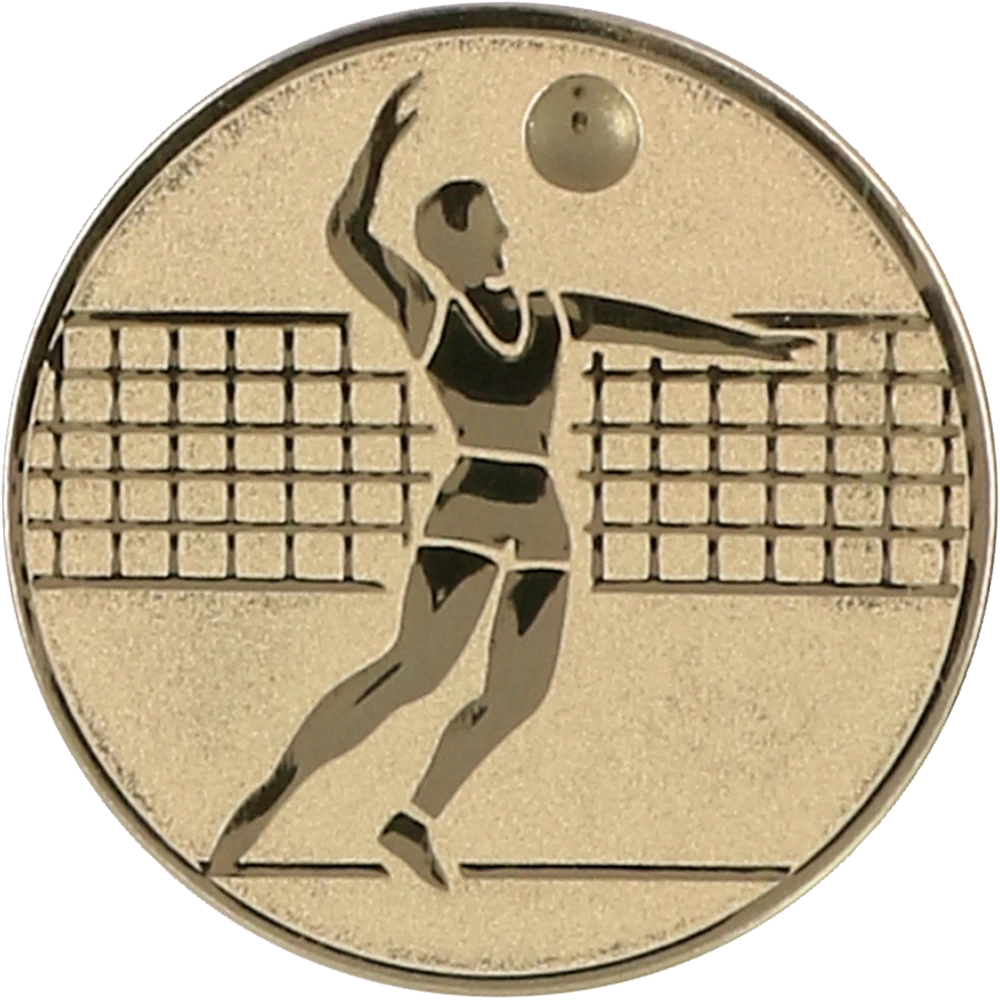 Gold aluminum insert - men's volleyball