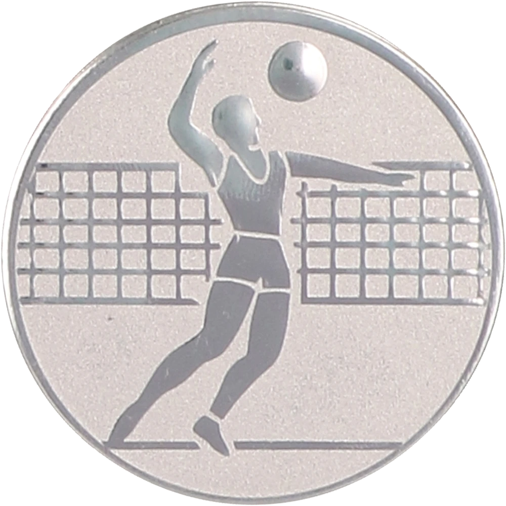 Silver aluminum insert - men's volleyball