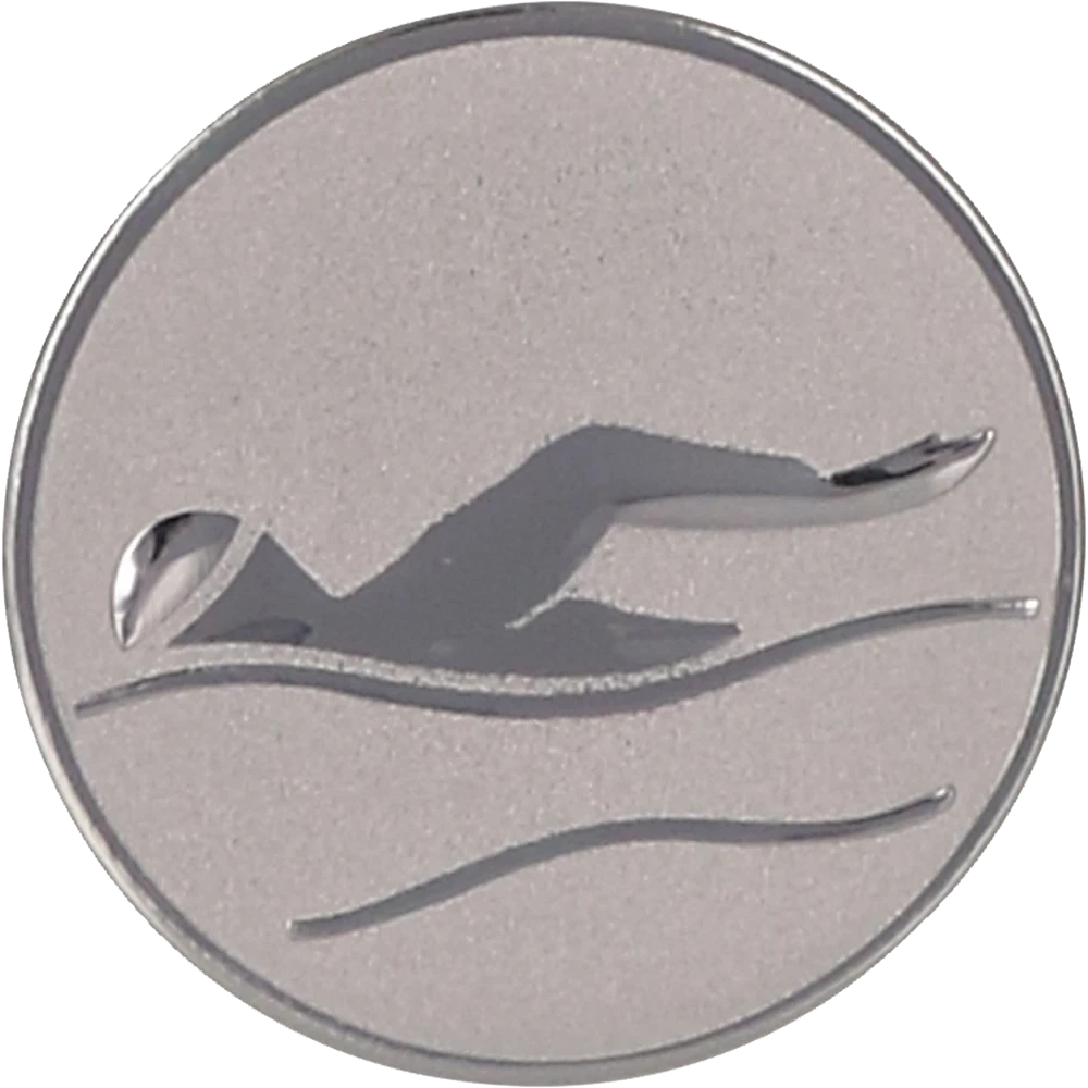 Silver aluminum insert - swimming