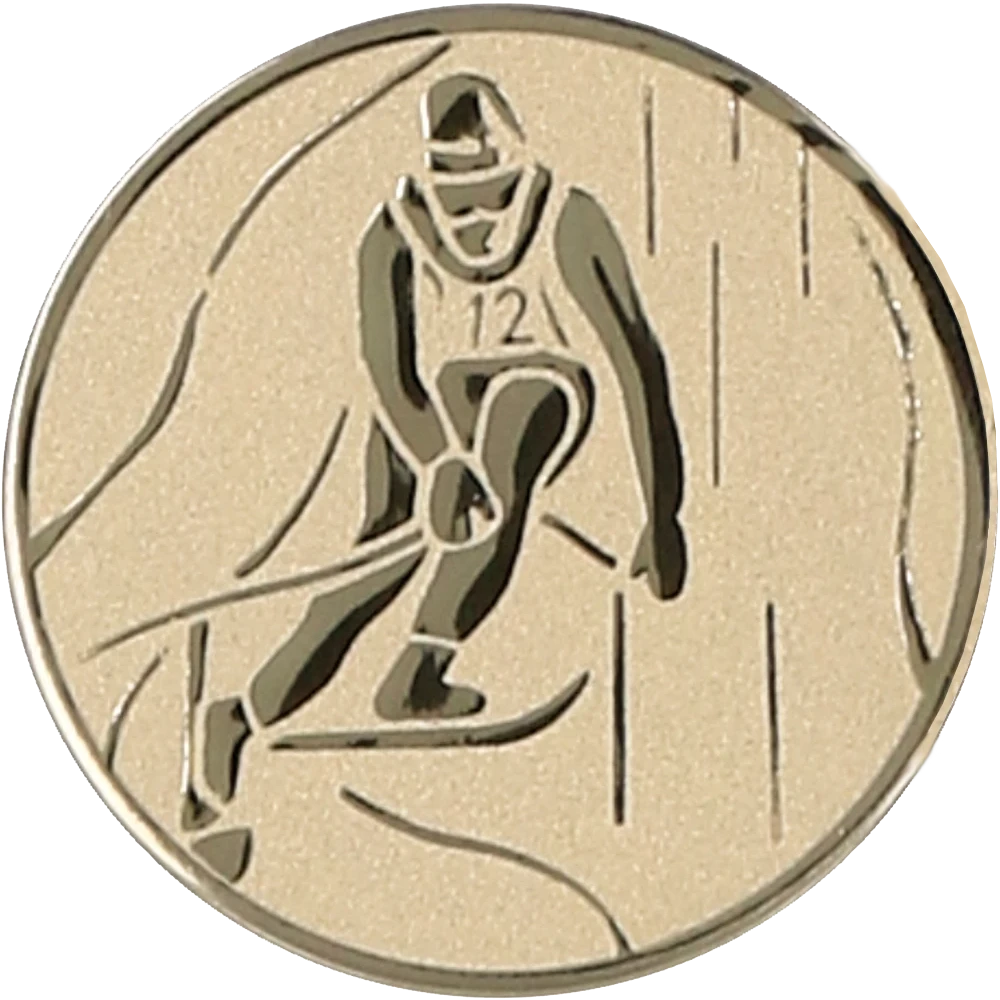 Gold aluminum insert - downhill skiing
