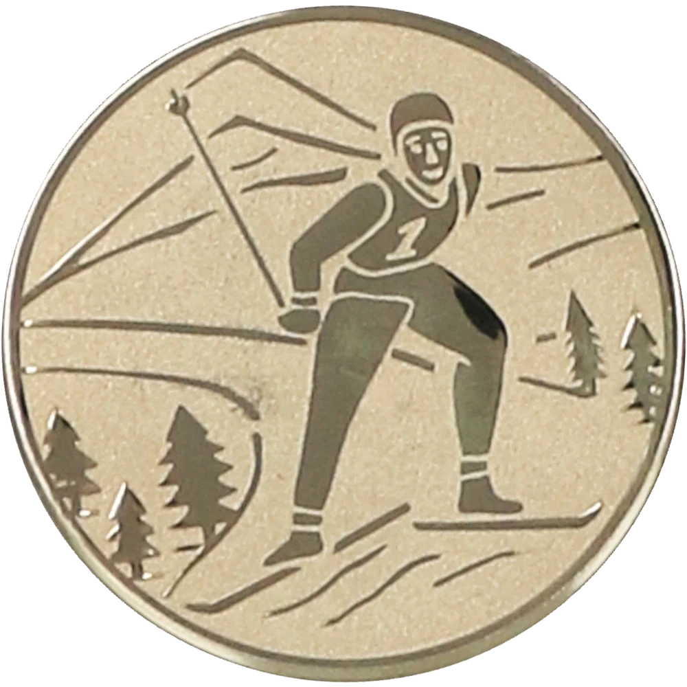 Gold aluminum insert - skier